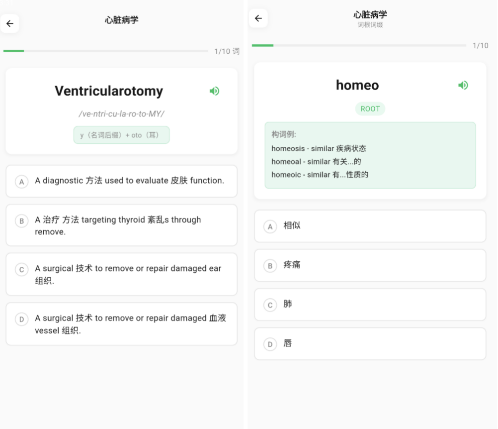 闪卡记忆模式